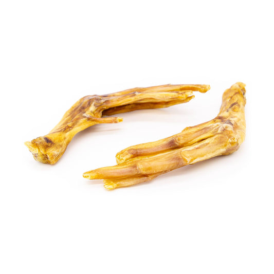 Duck Feet (individual) image 0