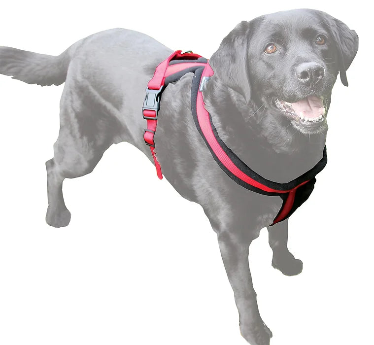 Miro & Makauri Premium Fleece Padded Harness image 3