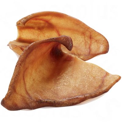 Large Pig Ears (individual) image 0