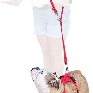 Miro &amp; Makauri 3 Point Double Ended Walking/Training Dog Lead image 0