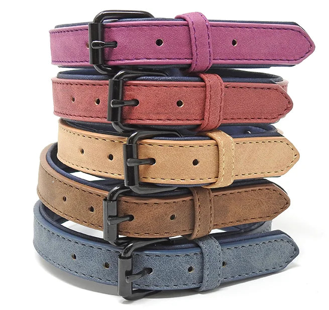 Miro & Makauri 'Tasman' Faux Leather Dog Collar image 0