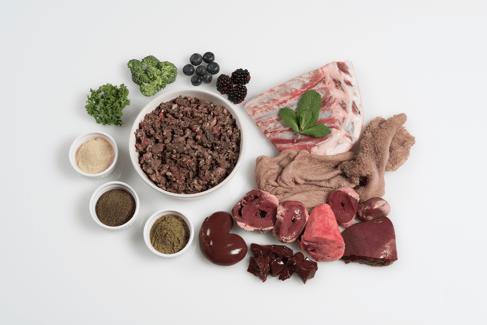 Paleo ridge Plus Lamb and Mint 500g