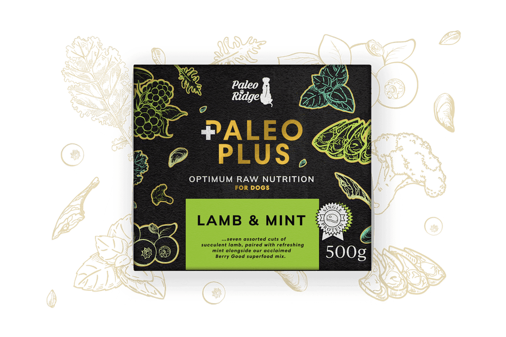 Paleo ridge Plus Lamb and Mint 500g