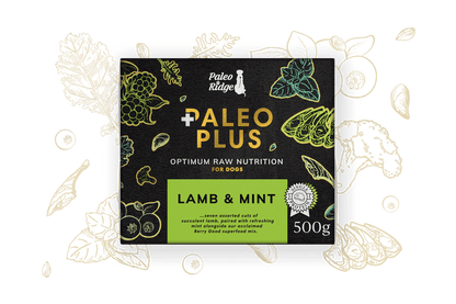 Paleo ridge Plus Lamb and Mint 500g