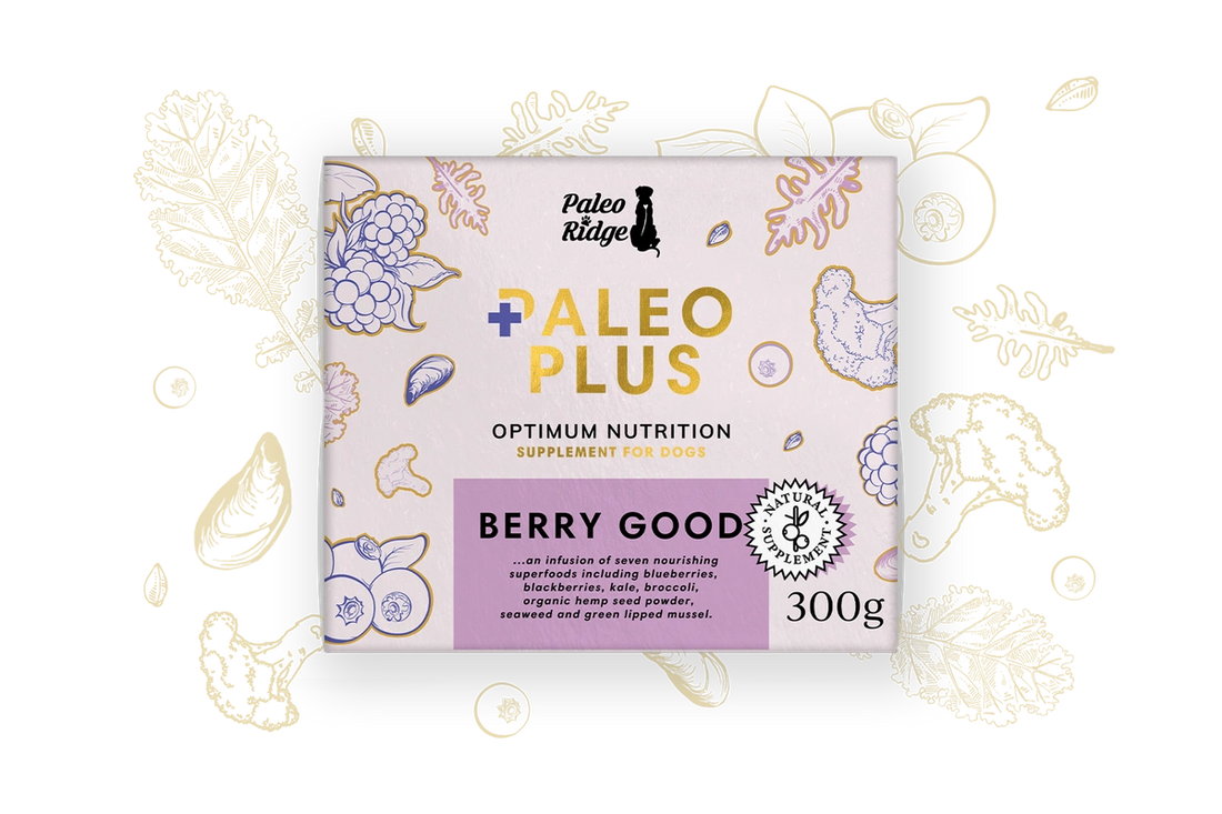 Paleo Ridge Berry Good 300g