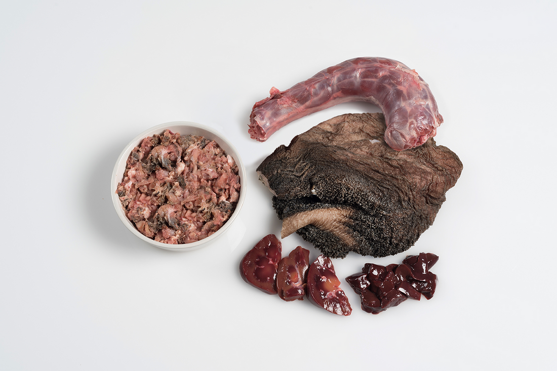 Paleo ridge classic beef tripe and turkey 1kg